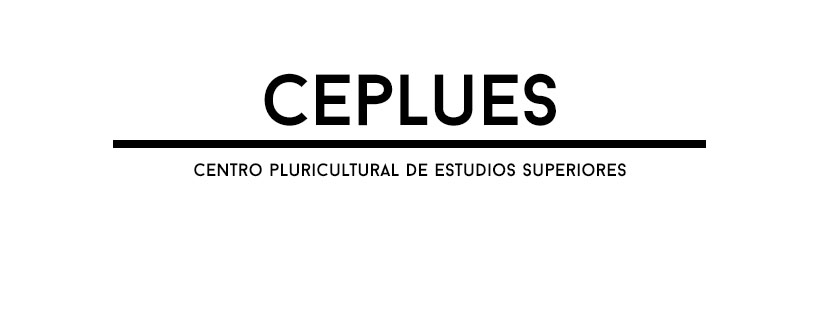11VA GENERACIÓN CENTROS EDUCATIVOS COMO UNA ORGANIZACIÓN MTRO. RICARDO TREMILLO